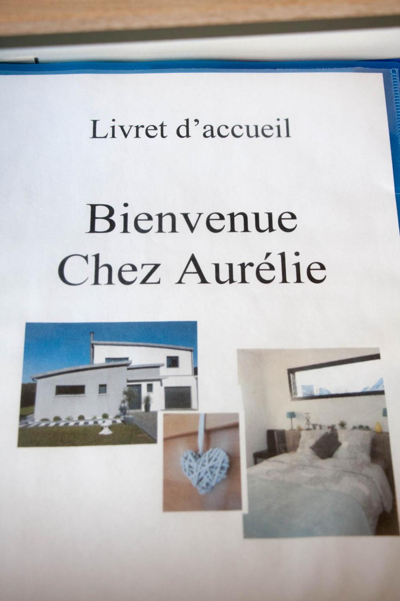 Chez Aurelie Apartment Saint-Alban  Екстериор снимка